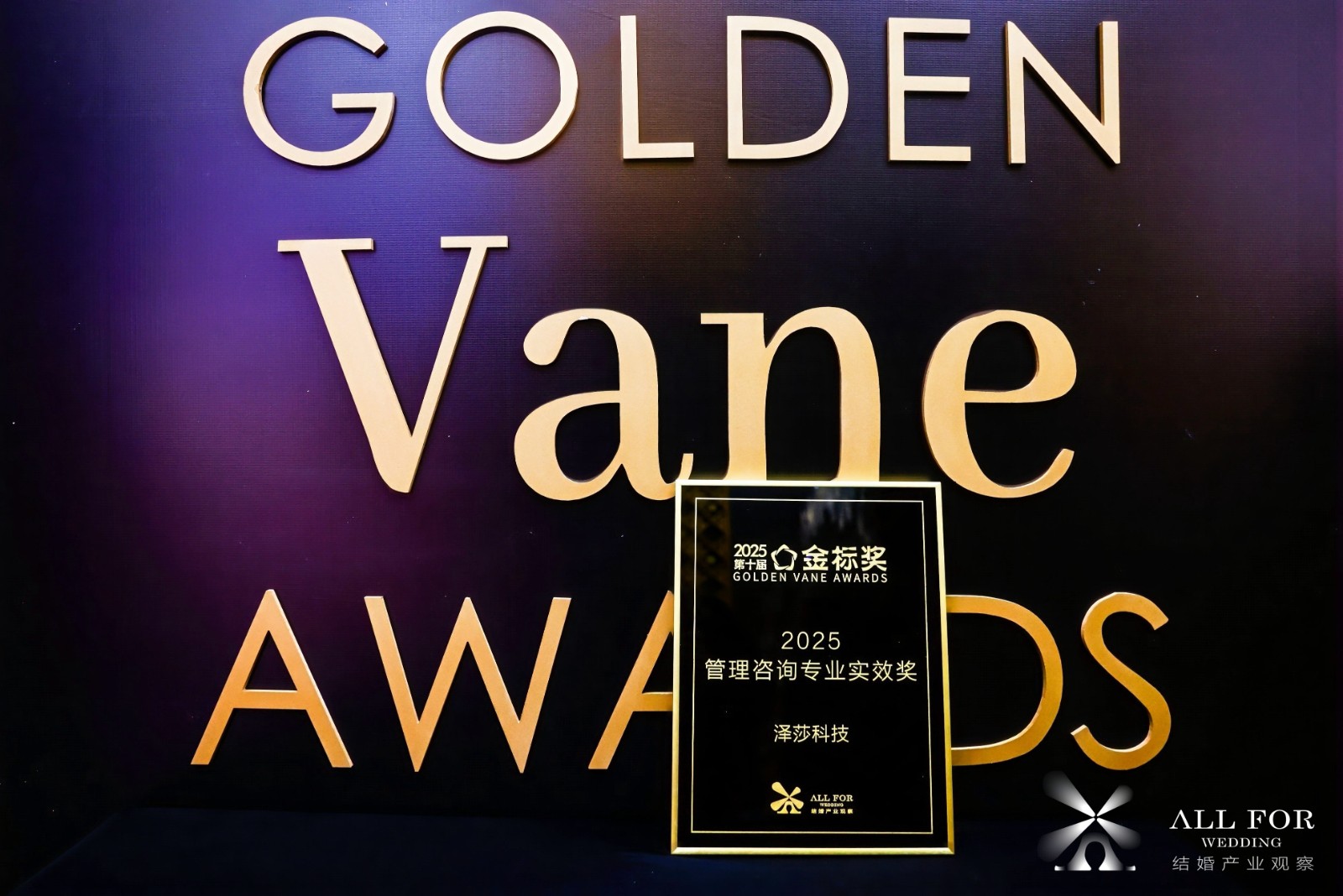 泽莎科技，荣获“2025管理咨询专业实效奖”