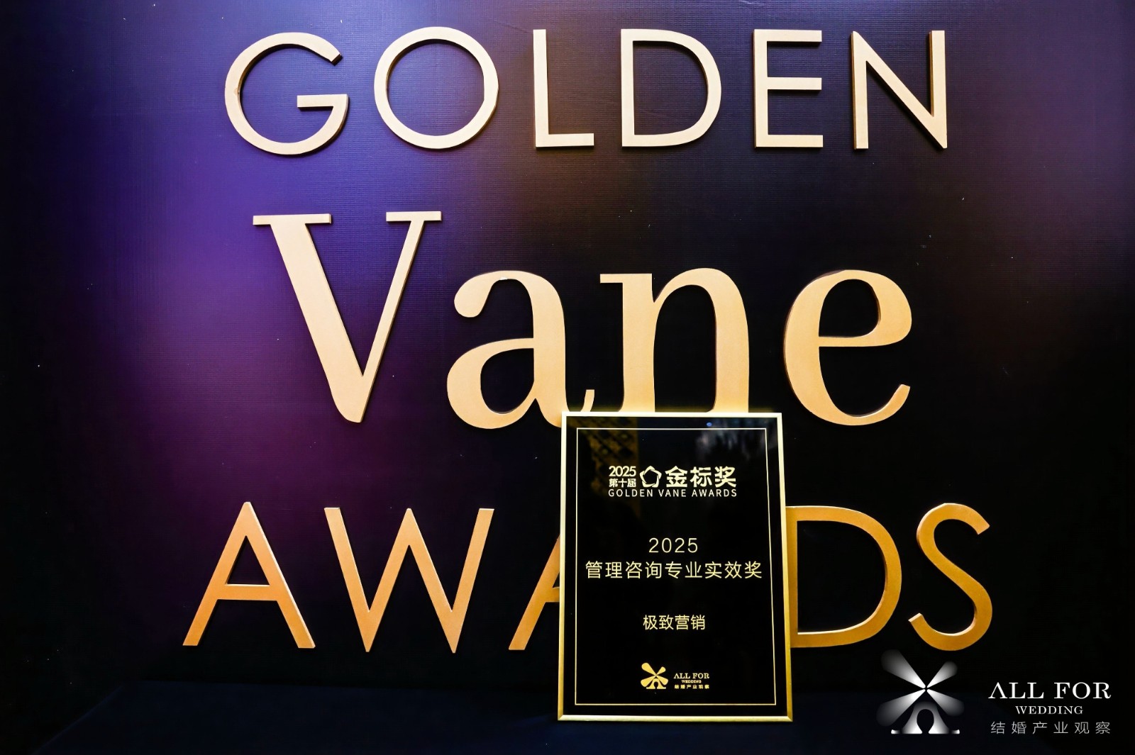 极致营销，荣获“2025管理咨询专业实效奖”