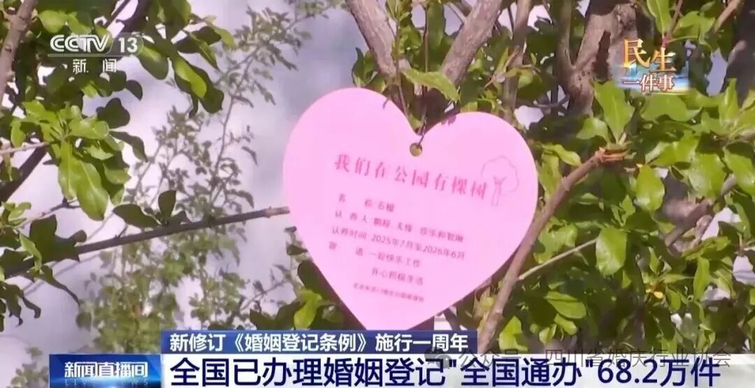 央视报道：解锁婚姻登记新模式！
