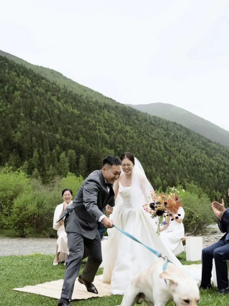 新娘：“狗子在婚礼上抢走了我老公~”  第4张